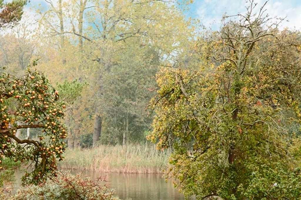 Duenen-Residenz B 05 Διαμέρισμα Χέρινγκσντορφ Εξωτερικό φωτογραφία